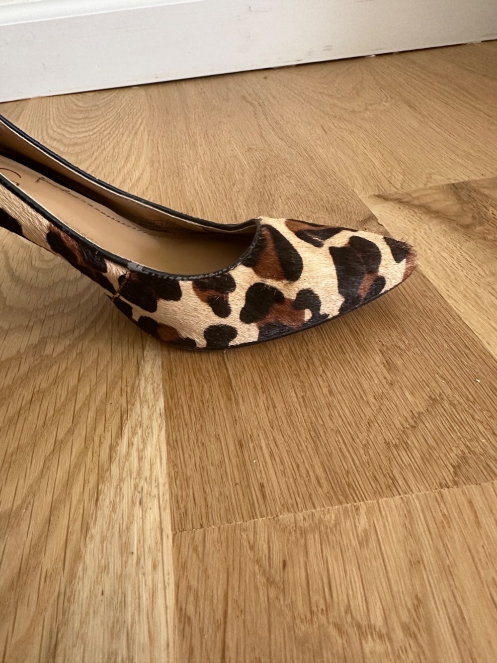 Leopard Heels - Picture 12 of 16